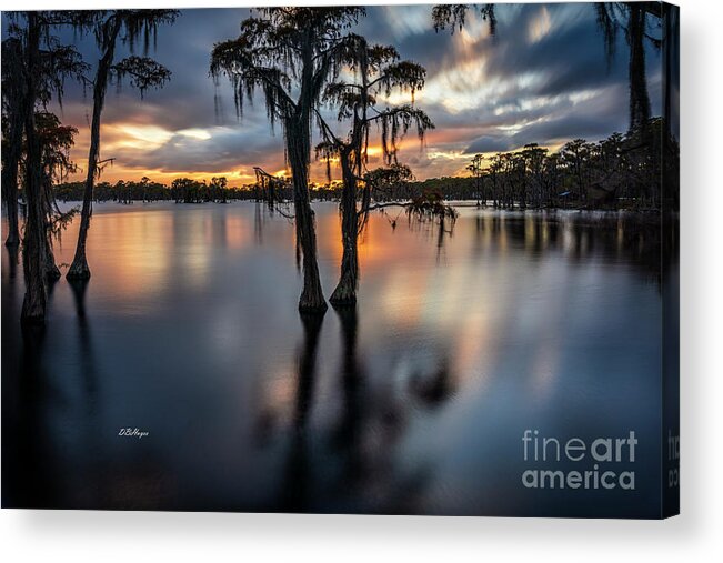 Sunsets Acrylic Print featuring the photograph Cypress Lake Sunset by DB Hayes