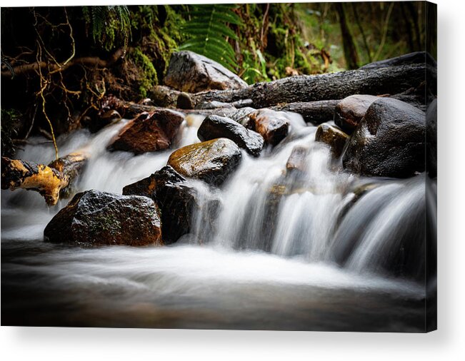 Brook Acrylic Print featuring the photograph Dam that river... by Gavin Lewis