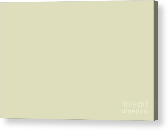 Beige Acrylic Print featuring the digital art Dark Pastel Yellow Green Solid Color Inspired by Valspar Tempered Sage 6006-5A by PIPA Fine Art - Simply Solid