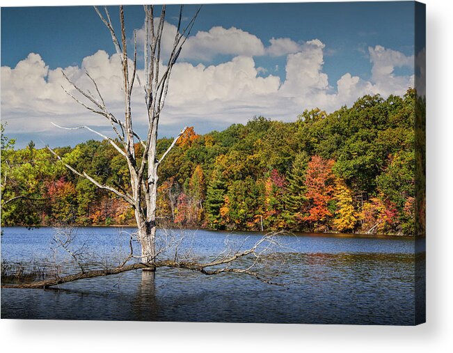 Beautiful Acrylic Print featuring the photograph Dead Tree Stickup on Hall Lake by Randall Nyhof