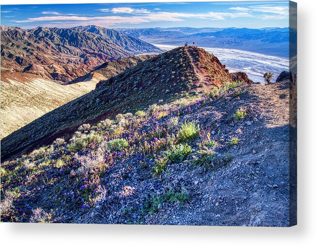 Landscape Acrylic Print featuring the photograph Death Valley at spring by Tatiana Travelways