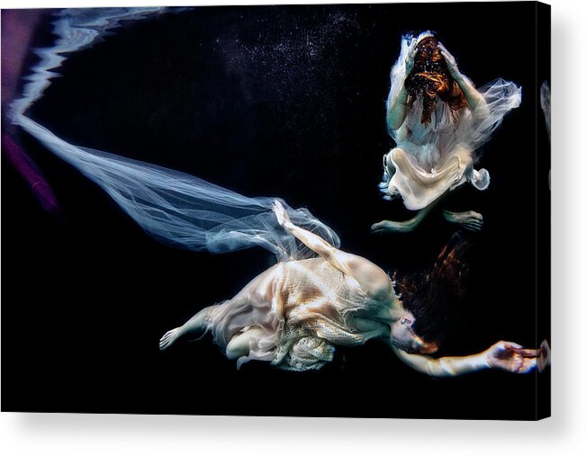 Underwater Acrylic Print featuring the photograph Decisions by Dan Friend