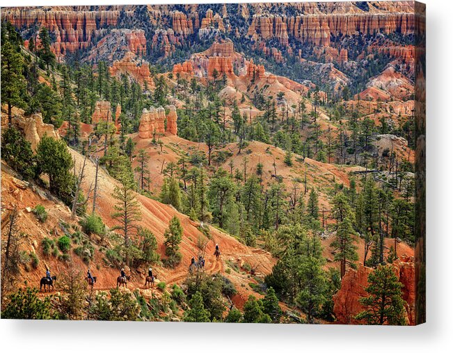Bryce Canyon National Park Acrylic Print featuring the photograph Deeper into the Canyon by Jack and Darnell Est