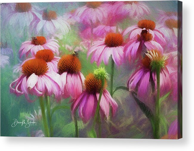 Coneflowers Acrylic Print featuring the photograph Delightful Coneflowers by Diane Schuster