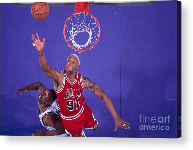 Chicago Bulls Acrylic Print featuring the photograph Dennis Rodman by Rocky Widner