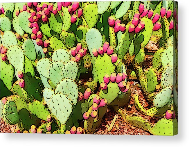 Pink Acrylic Print featuring the mixed media Desert ornaments by Tatiana Travelways