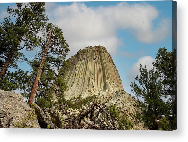 Devils Tower Looking Up Acrylic Print featuring the photograph Devils Tower Looking Up by Dan Sproul