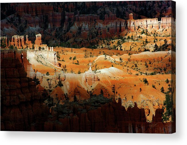 Vkp Acrylic Print featuring the photograph Do You Bielive in Magic by Vicki Pelham