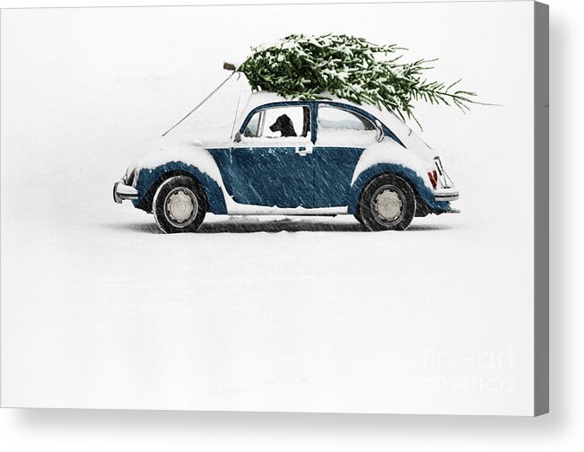 Americana Acrylic Print featuring the photograph Dog in Car with Christmas Tree by Ulrike Welsch