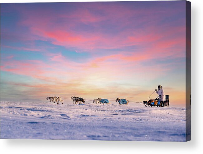 Sunset Acrylic Print featuring the photograph Dog Sled Team at Sunset by Scott Slone