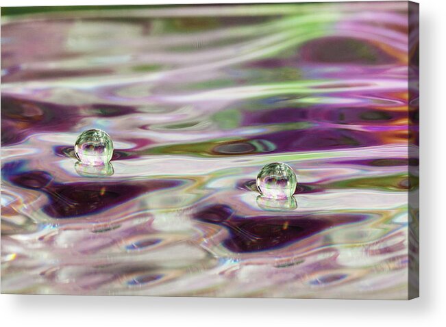 Liquid Art Acrylic Print featuring the photograph Double Delight by Connie Publicover