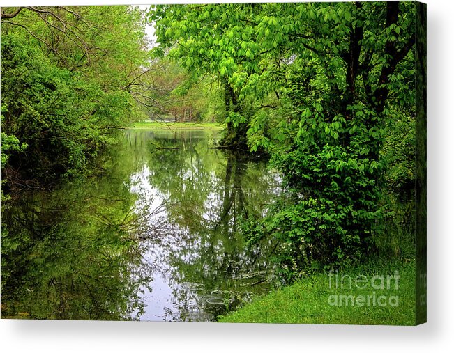 Creek Acrylic Print featuring the photograph Down at the Creek... by Shelia Hunt