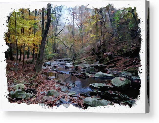 Stones Acrylic Print featuring the digital art Down Stream by Chauncy Holmes