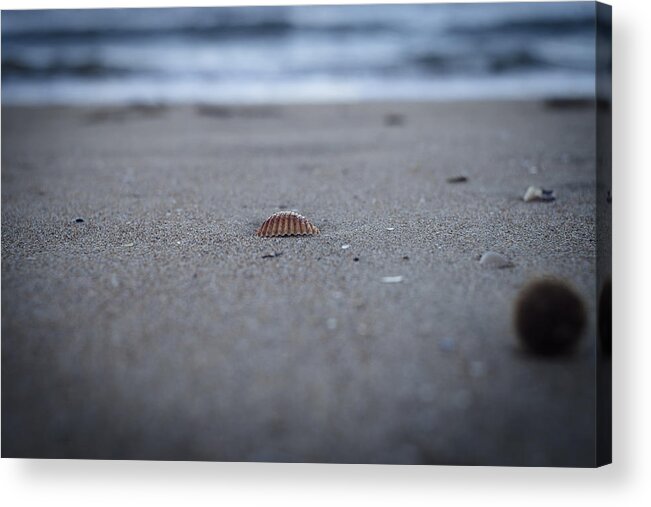 Outdoors Acrylic Print featuring the photograph Dreaming the sea on a cold winter's day by Adriano Ficarelli