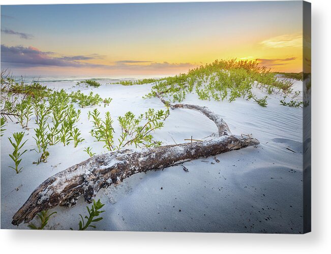 Beach Acrylic Print featuring the photograph Driftwood At Sunset by Jordan Hill