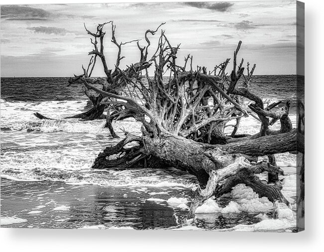Driftwood Acrylic Print featuring the photograph Driftwood Beach by Randy Bayne
