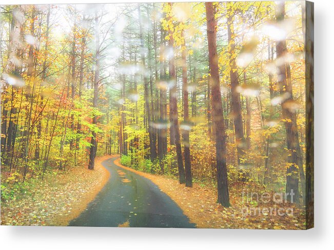 Autumn Acrylic Print featuring the photograph Driving Through Autumn Rain by Charline Xia