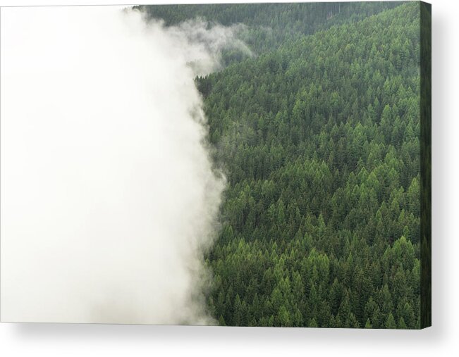 Forest Acrylic Print featuring the photograph DSC08265 - Forest Cloud by Marco Missiaja