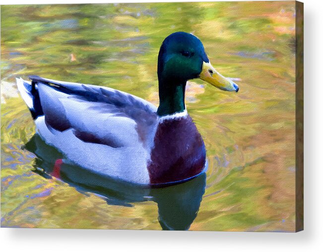 Bird Acrylic Print featuring the painting Duck Duck Goose Bird Flying Hunting by Tony Rubino