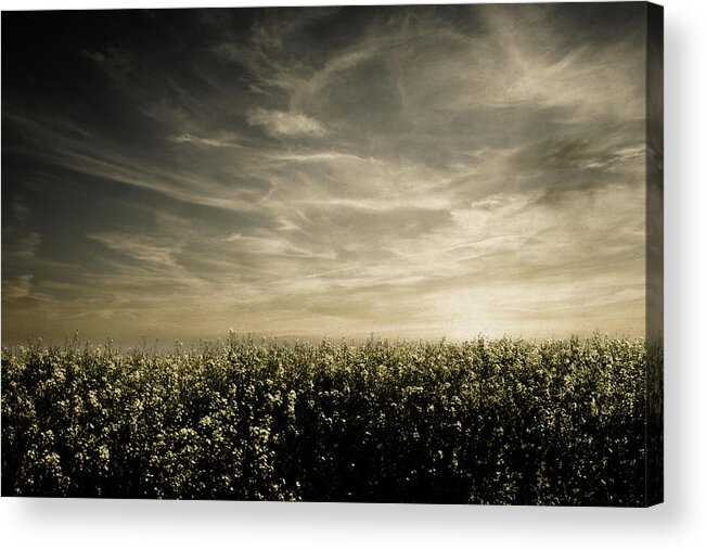 Land Acrylic Print featuring the photograph Early evening by Yasmina Baggili