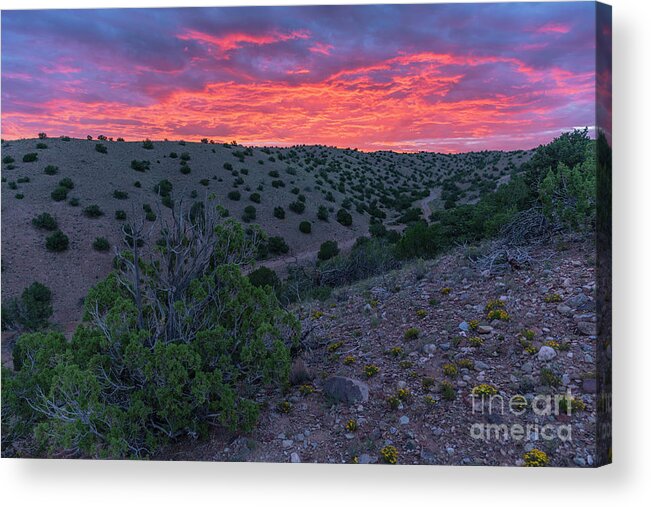 Landscape Acrylic Print featuring the photograph Early Morning by Seth Betterly