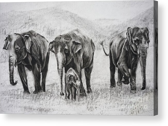 Wildlife Acrylic Print featuring the pastel Elephants In A Row by Radha Rao