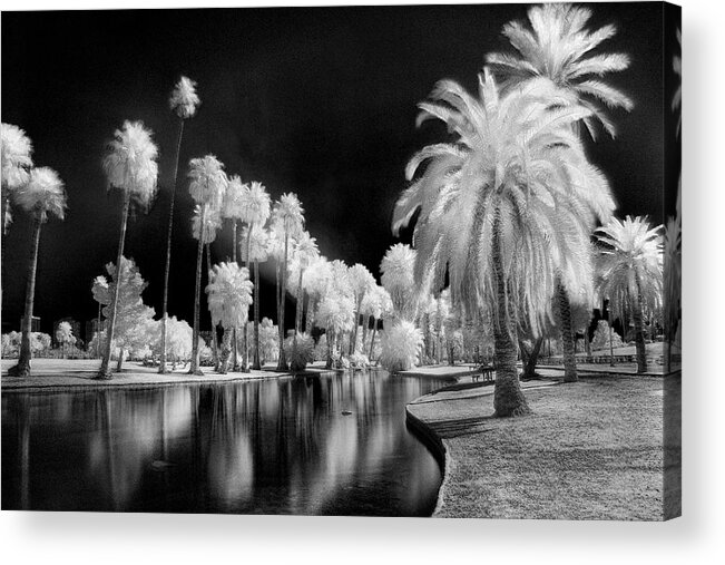 Trees Acrylic Print featuring the photograph Encanto Park by Jim Painter