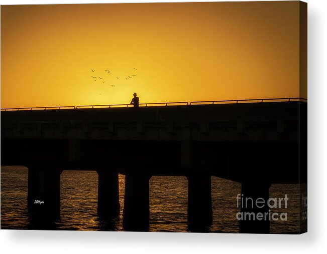 Sunset Acrylic Print featuring the photograph End of Day by DB Hayes