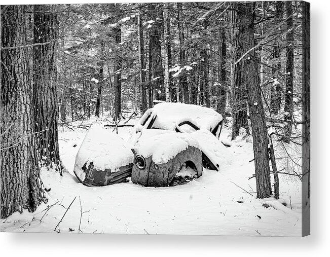 #fine Art Photograph #black And White Photograph #abandoned #wisconsin #old #antique #woods #forest #trees #shadows #history #old Parts #ford Truck #ford Automobile #walk In The Woods #afternoon Walk #afternoon Light #highlights #wall Decor #wall Art Acrylic Print featuring the photograph End of the road by David Heilman