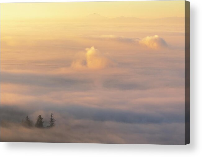 Fogscape Acrylic Print featuring the photograph Escape by Shelby Erickson