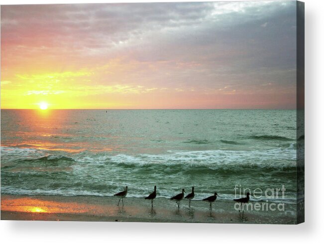 Seascape Acrylic Print featuring the photograph Evening colors by Victoria Davis