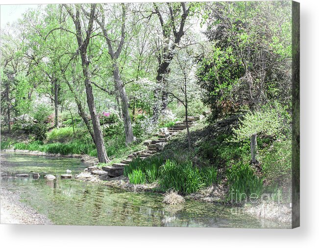 Recreation Acrylic Print featuring the photograph Fairyland of steps up into forest by Susan Vineyard