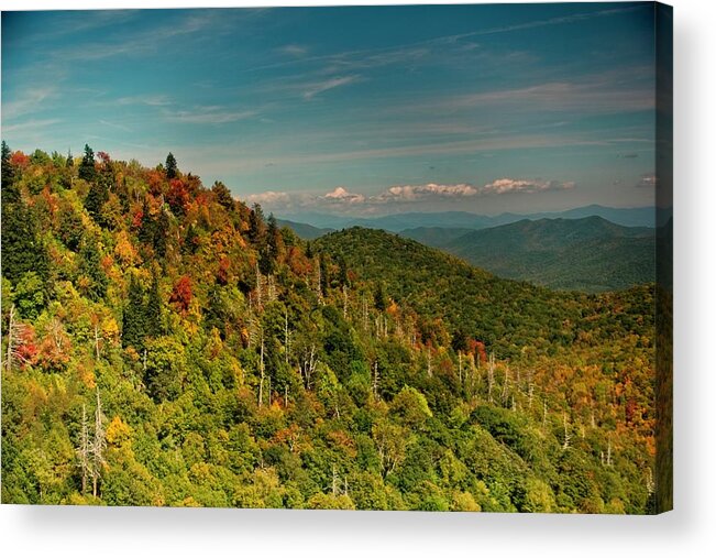 Autumn Acrylic Print featuring the photograph Fall Colors by Allen Nice-Webb