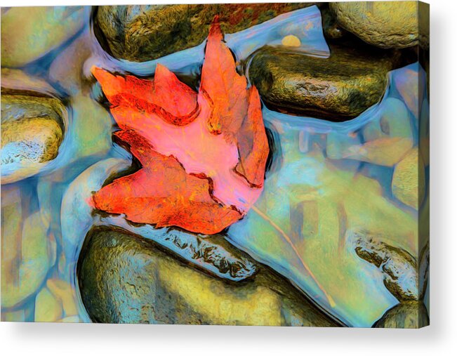Carolina Acrylic Print featuring the photograph Fall Float Painting by Debra and Dave Vanderlaan