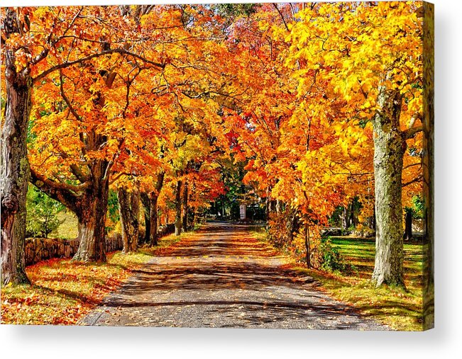  Acrylic Print featuring the photograph Fall in New England by Adam Green