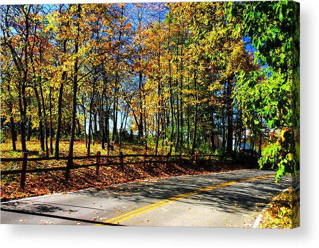 Landscape Acrylic Print featuring the photograph Fall Trees Wooded Country Road by Patrick Malon