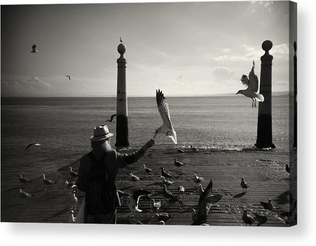 Three Quarter Length Acrylic Print featuring the photograph Feeding the Seagulls by Zulufriend