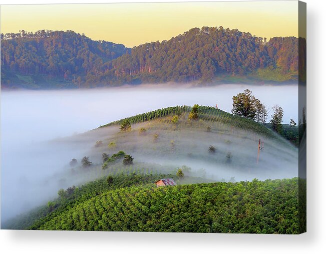 Awesome Acrylic Print featuring the photograph Feeling Of The Fog by Khanh Bui Phu