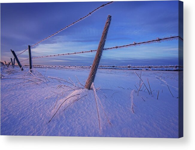 Landscape Acrylic Print featuring the photograph Fence in the Snow by Dan Jurak