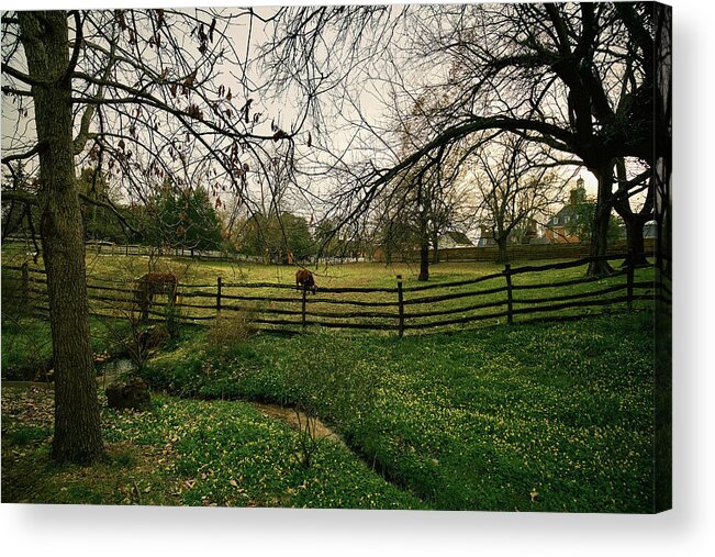 Colonial Williamsburg Acrylic Print featuring the photograph Field and Stream by Rachel Morrison