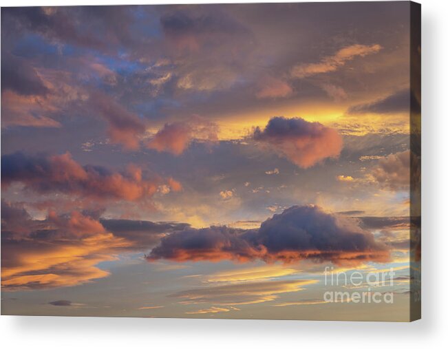 Clouds Acrylic Print featuring the photograph Floating in the clouds by Adriana Mueller