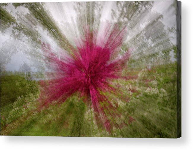 Icm Acrylic Print featuring the photograph Floral Fireworks - abstract zooming motion of flowering trees by Peter Herman