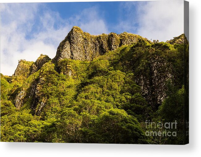 Mountain Acrylic Print featuring the photograph Flores Beautiful Nature by Eva Lechner