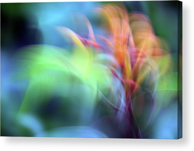 Flower Acrylic Print featuring the photograph Flower Abstract 2A by Sally Fuller