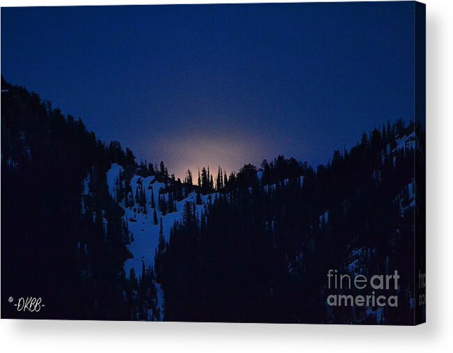 Full Moon Acrylic Print featuring the photograph Flower Full Moon #1 by Dorrene BrownButterfield