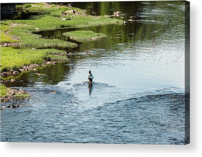 Water Acrylic Print featuring the photograph Fly Fishing for Trout by Amelia Pearn