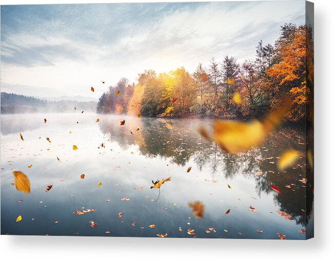 Tranquility Acrylic Print featuring the photograph Flying Autumn Leaves by Borchee