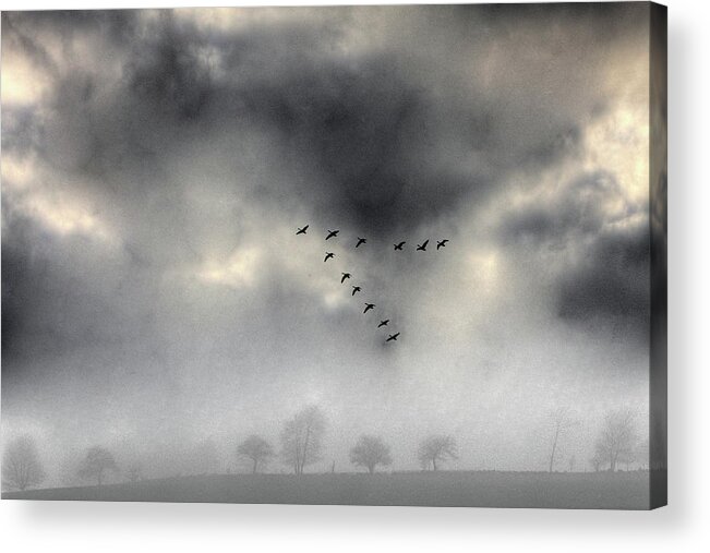 Geese Acrylic Print featuring the photograph Flying into a Gathering Storm by Wayne King