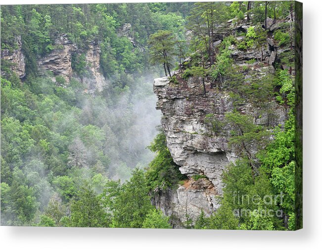 Fall Creek Falls Acrylic Print featuring the photograph Fog in Valley 3 by Phil Perkins