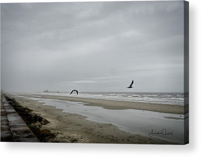 Gulf Shore Acrylic Print featuring the photograph Foggy Beach by Linda Lee Hall